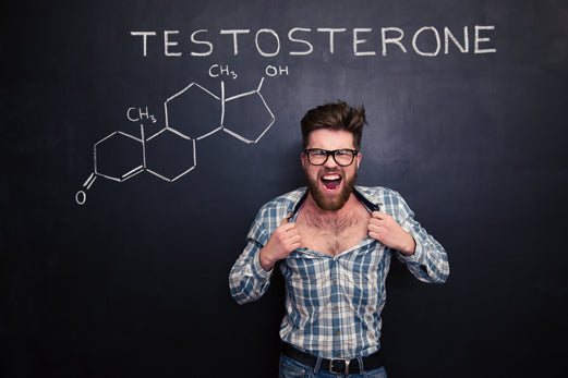 Produkty podnoszące testosteron – część II – Activlab
